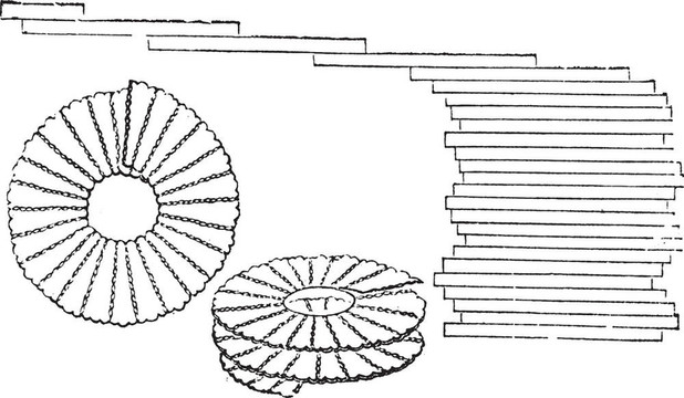 硅藻；復(fù)古插圖