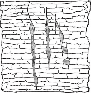 地質(zhì)脈絡(luò)；復(fù)古插圖。