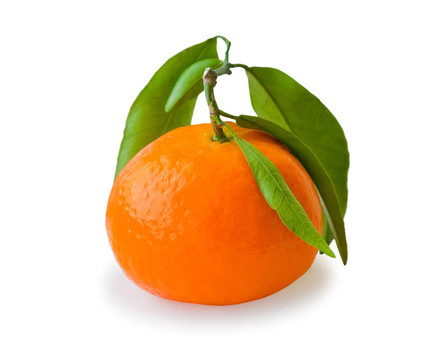Tangerine夜店白色隔離