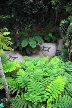 蒙特宮熱帶花園
