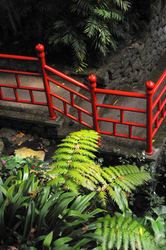 蒙特宮熱帶花園