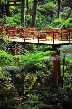 蒙特宮熱帶花園