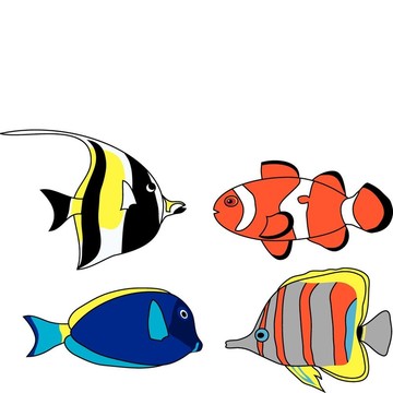 熱帶魚集