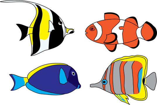 熱帶魚集
