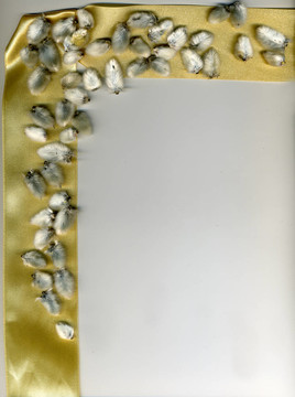 柳枝和金絲帶
