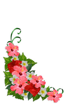 熱帶花卉角緣