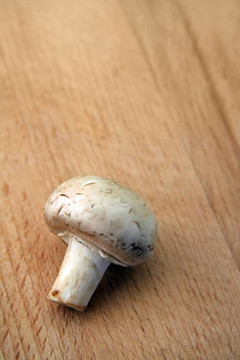 木耳