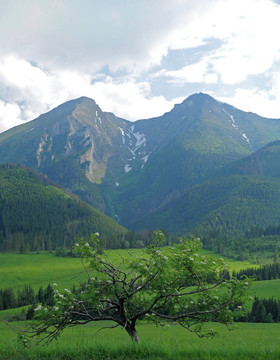 雙子山