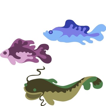 三種魚(yú)彩色圖