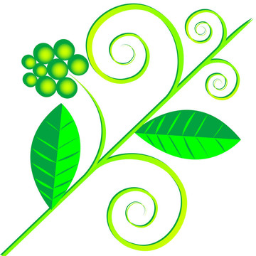 綠色植物的標(biāo)志