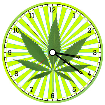 大麻的時鐘