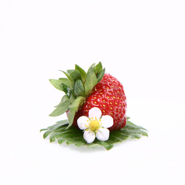 葉子上的Strawberry