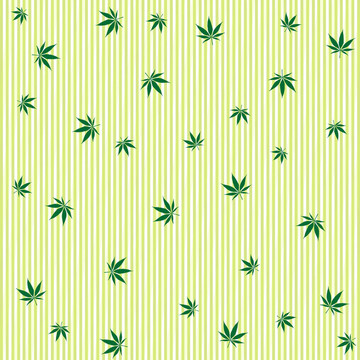 大麻的雨