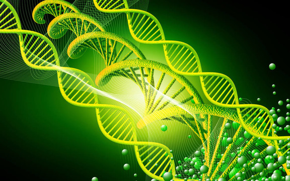 DNA