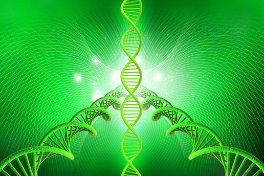 DNA