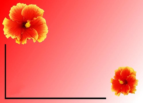 兩芙蓉