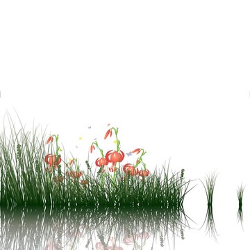 草水