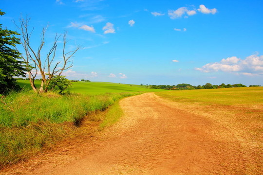美麗的鄉(xiāng)村道路