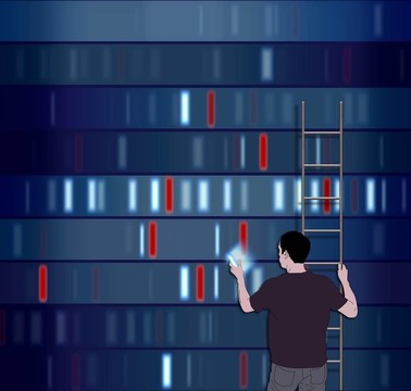 選擇DNA