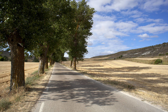 農(nóng)村公路