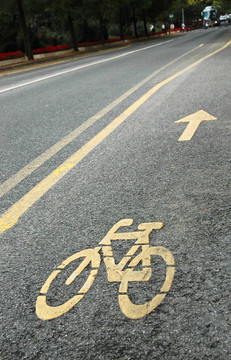 自行車賽道
