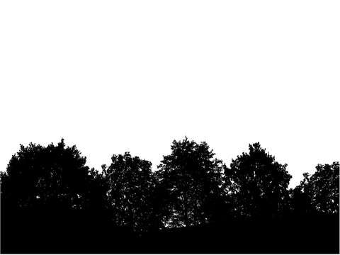 森林。[]。