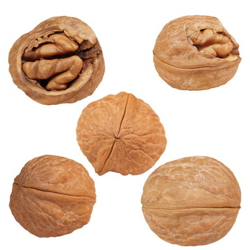 核桃核桃