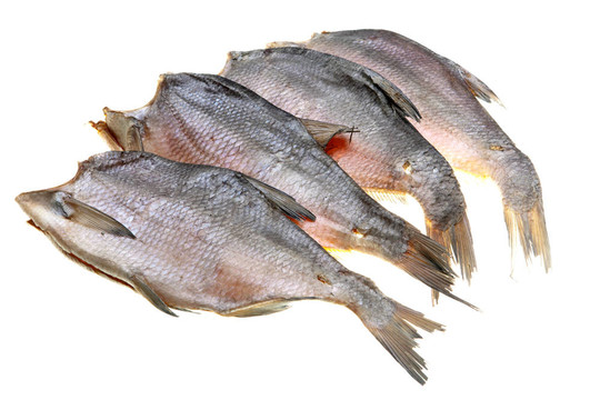 白底干魚
