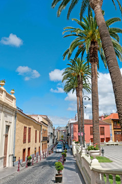 夏天的街道；La Orotava；特內(nèi)里費(fèi)島；西班牙