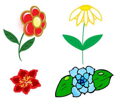 四花