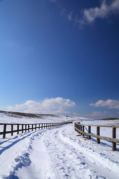 積雪的路上