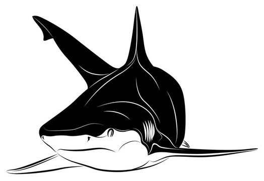 鯊魚