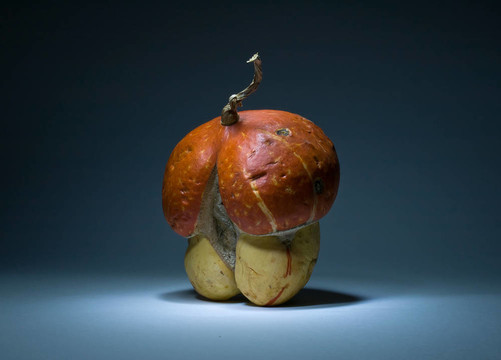 蘑菇式橙色南瓜