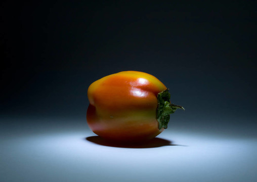 彩色辣椒在黑暗與陰影