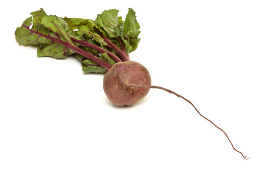 孤立的甜菜根