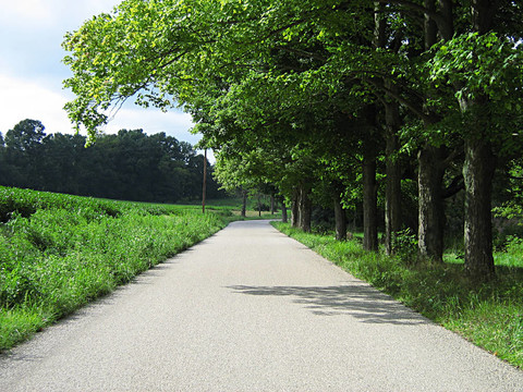 又上路了