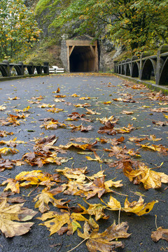 在奧尼昂塔峽登山步道的隧道