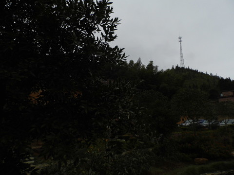 鄉(xiāng)村風景