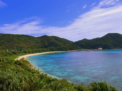 美麗的海灣