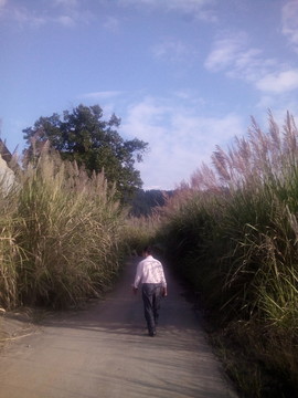 鄉(xiāng)間茅草路