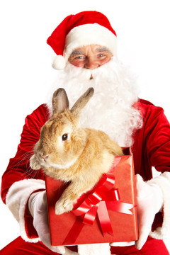 可愛兔子Santa