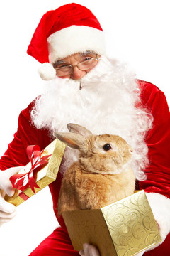 Santa與可愛的寵物