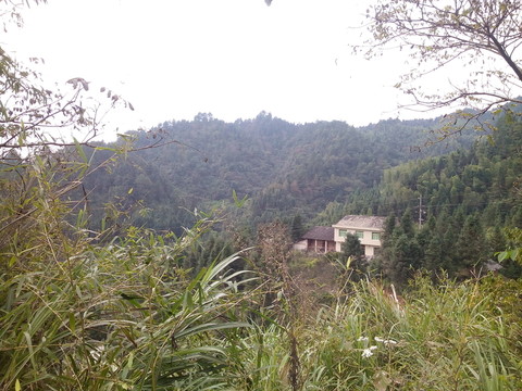 山間民宅