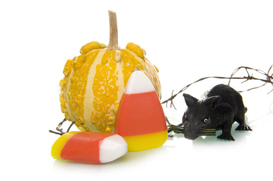 candycorn