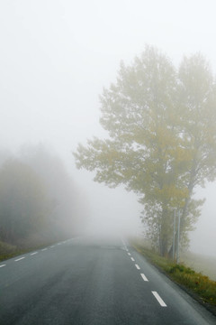 霧