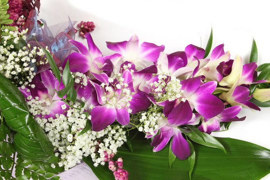 蘭花