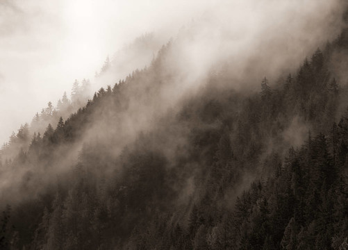 山
