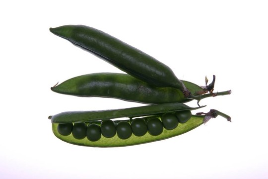豆莢里的豌豆