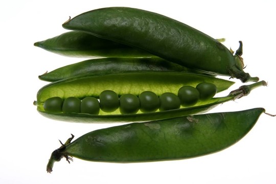 豆莢里的豌豆