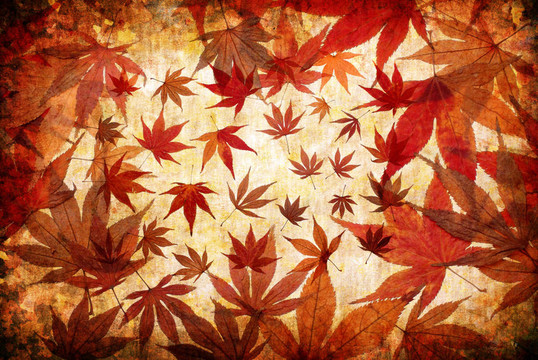 摘要垃圾秋天背景